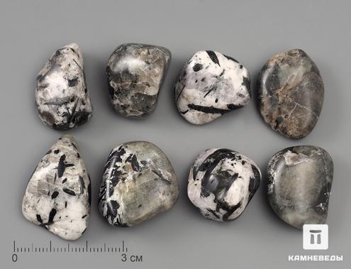 Гакманит (содалит) в микроклине с эгирином и уссингитом, галтовка 2,5-3 см, 12-192/7, фото 2