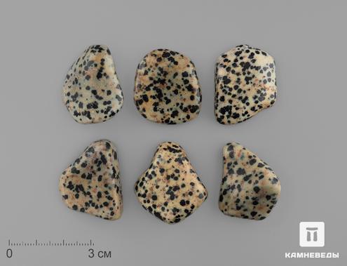 Яшма далматиновая (трахириодацит), крупная галтовка 2,5-3,5 см (10-15 г), 15463, фото 1