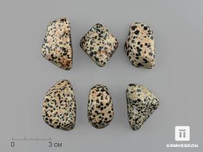 Яшма далматиновая (трахириодацит), крупная галтовка 3,5-4,5 см (25-30 г)