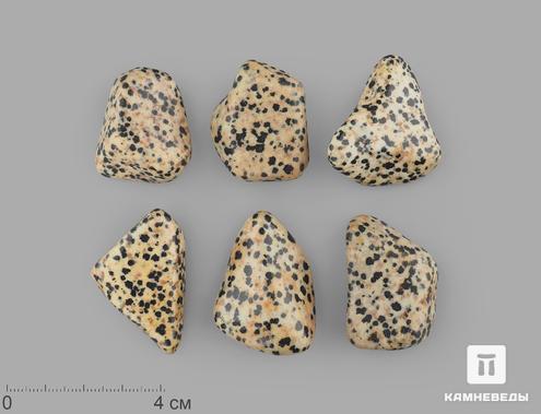 Яшма далматиновая (трахириодацит), крупная галтовка 2,5-4 см (15-20 г), 15465, фото 1