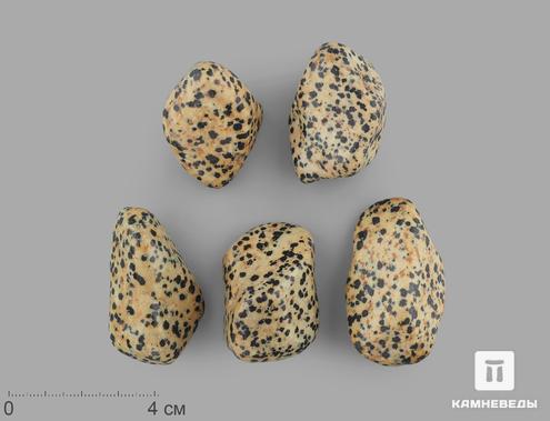 Яшма далматиновая (трахириодацит), крупная галтовка 4-5 см (30-35 г), 15468, фото 1