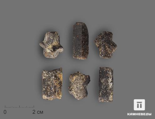 Ставролит, кристалл 1,5-2 см, 17574, фото 1