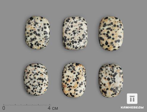 Яшма далматиновая (трахириодацит), галтовка 3-3,5 см (10-15 г), 18014, фото 1
