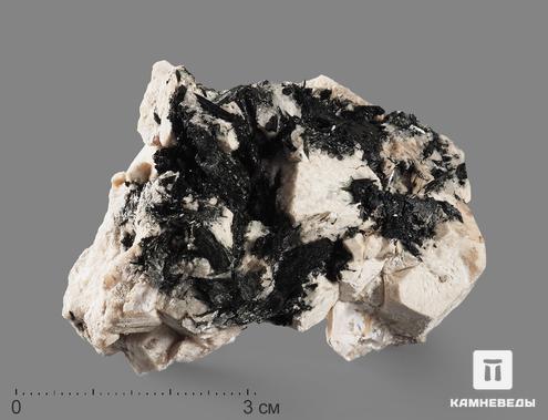 Псевдоморфоза натролита по содалиту, кристалл 5-7 см, 18594, фото 3