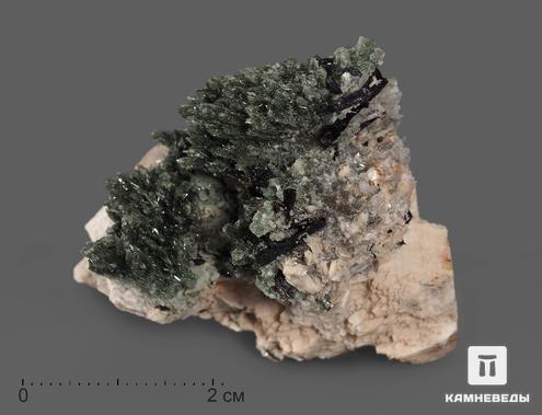Псевдоморфоза натролита по содалиту, кристалл 4-6 см, 18593, фото 2