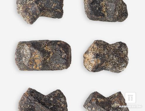 Ставролит, кристалл 2-2,5 см, 10-121, фото 2
